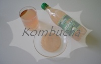 kombucha_nenalezen